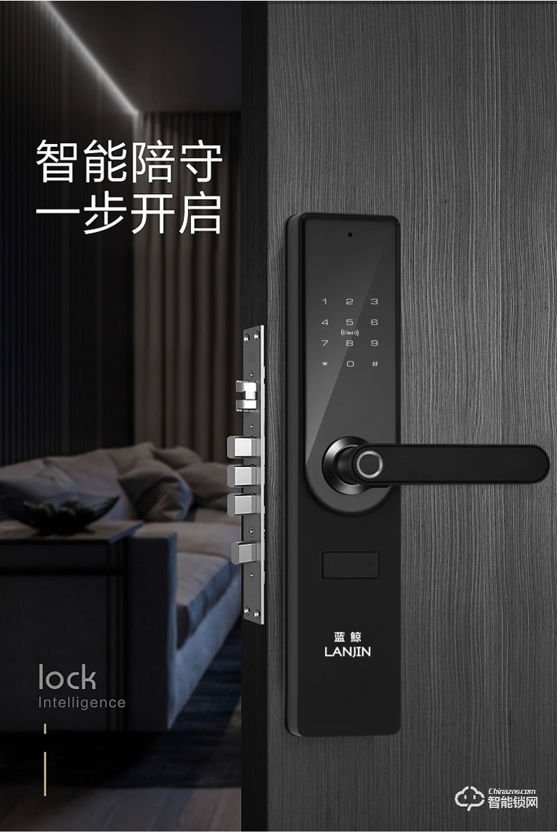 蓝鲸智能锁 A5家用防盗门智能门锁