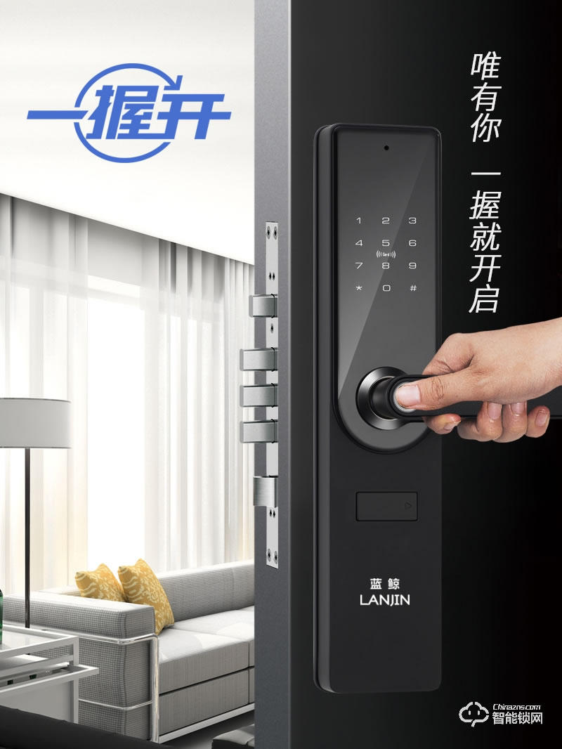 蓝鲸智能锁 A5家用防盗门智能门锁