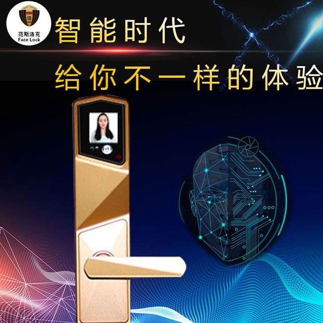 范斯洛克智能锁 古铜色第二代人脸识别锁